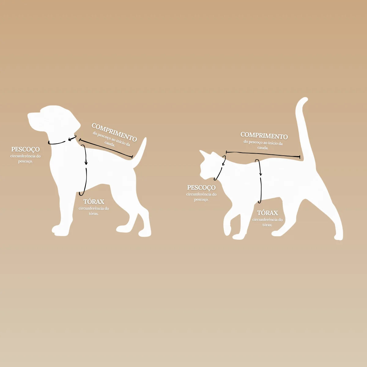 Roupa para Cachorro Pequeno Skeepy Soft™ Corações