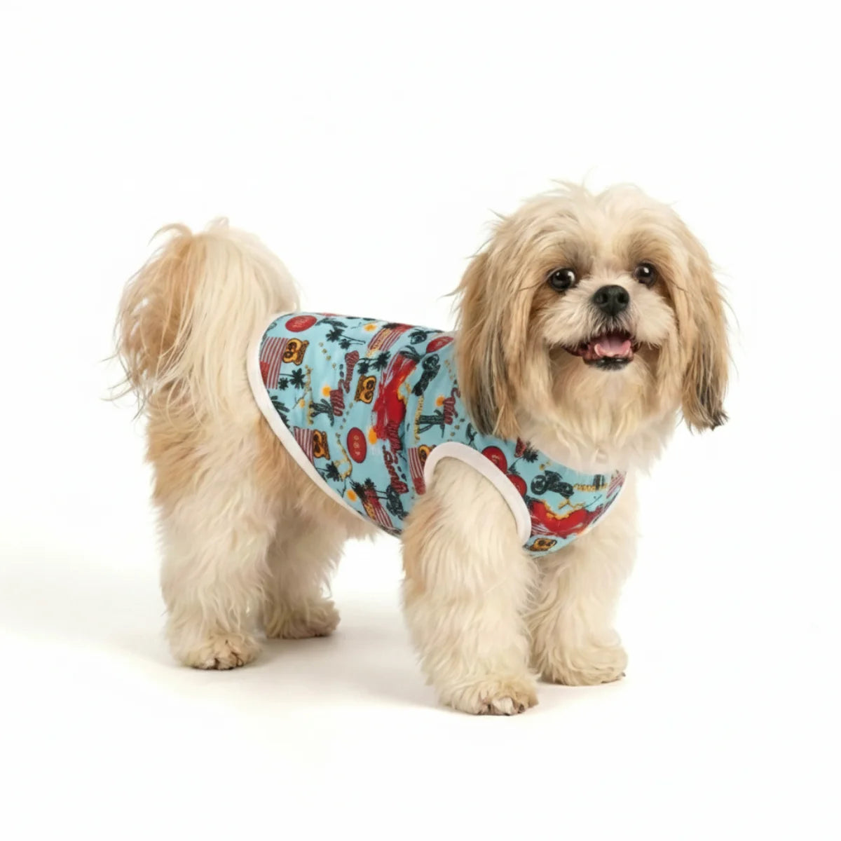 Roupa para Cachorro Pequeno Skeepy Soft™ Route 66